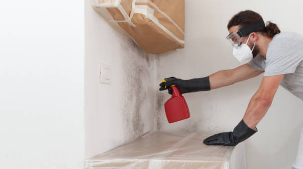 Professional Bathroom Mold Removal technician working in Short Hills, NJ